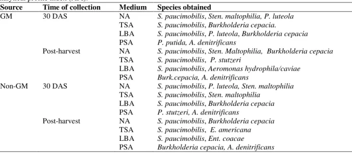 Table 1 - Identification of rhizobacterial isolates recovered at 30 DAS (days after sowing) and at post-harvest using  analytical profile index (API)