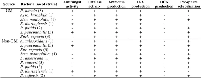 Table  2  -  Plant  growth  promoting  traits  of  rhizobacterial  isolates  from  genetically  modified  (GM)  and  non-GM  maize rhizosphere