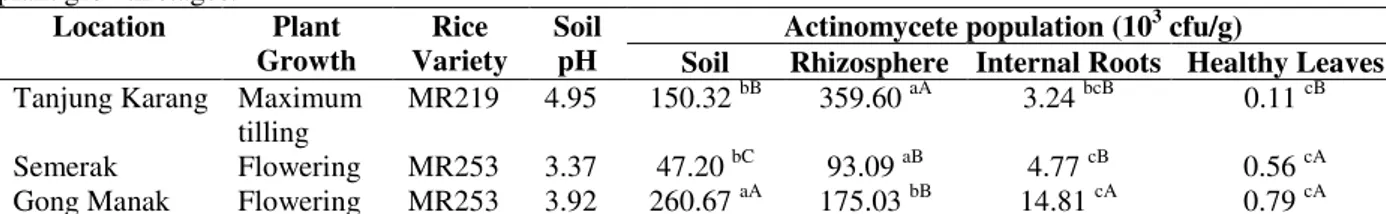 Table 1 - Actinomycete population in soils, rhizosphere, roots and leaves from different locations, rice varieties and  plant growth stages