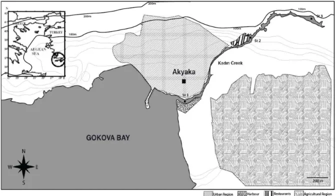 Figure 1 - Study area is located at N 37° 3' 11" - E 28° 19' 48"