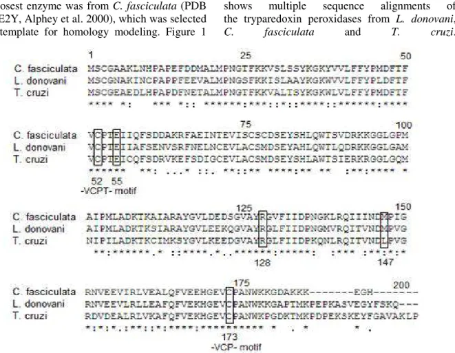 Figure  1  - Multiple sequence alignment of the tryparedoxin peroxidases from  Crithidia  fasciculata,  Leishmania  donovani  and  Trypanosoma  cruzi