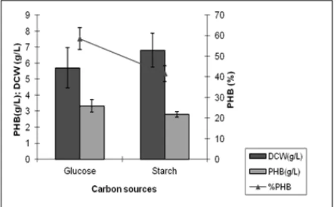 Figure  1  -  Comparative  PHA  production  between  glucose (10g/L) and starch (10g/L).