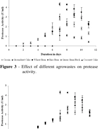 Figure  4  -  Effect  of  different  concentrations  of  wheat  bran on protease activity