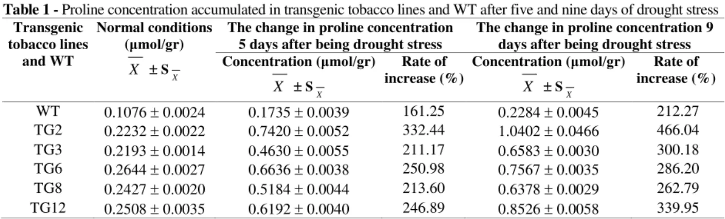 Table 1 -  Proline concentration accumulated in transgenic tobacco lines and WT after five and nine days of drought stress   Transgenic  tobacco lines  and WT  Normal conditions (μmol/gr)  X   S X