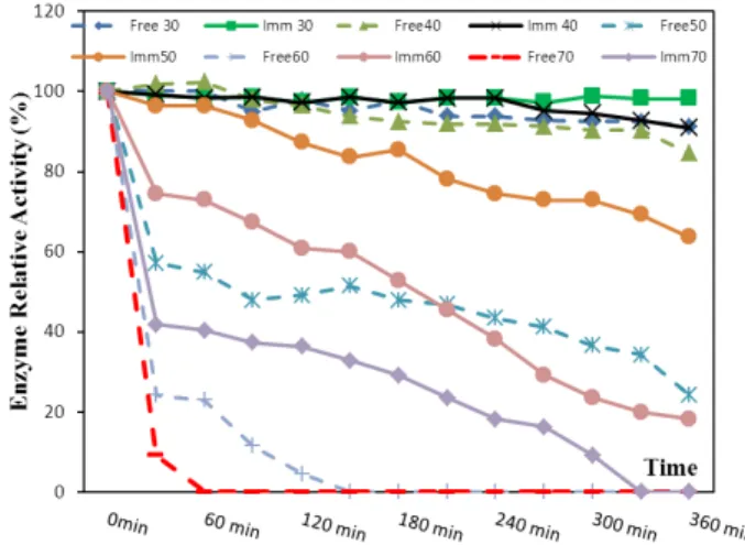 Figure  4  -  Temperature-stability  profile  of  free  and  immobilized urease. 