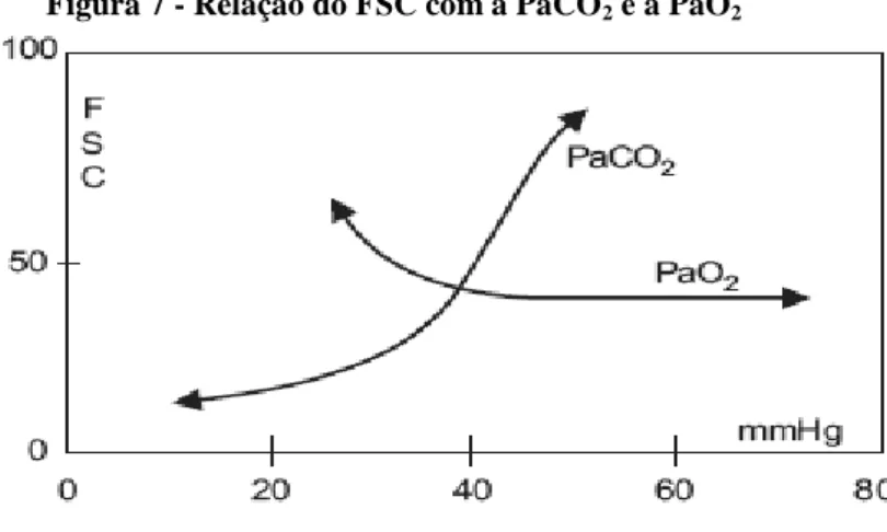 Figura 7 - Relação do FSC com a PaCO 2  e a PaO 2