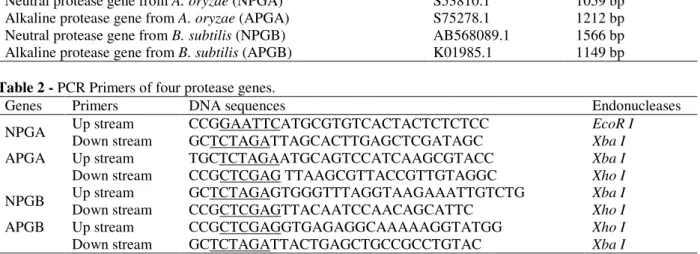 Table 1 - Protease genes from Aspergillus oryzae and B. subtilis. 