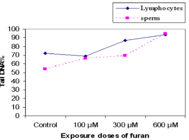 Figure 3 - Changes of comet tail DNA% with exposure  increasing  doses  of  furan  in  lymphocytes  and sperm