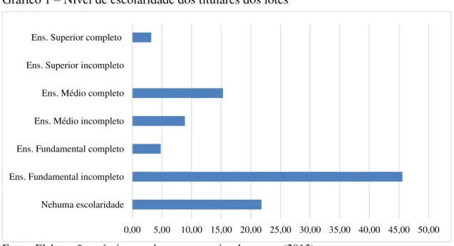 Gráfico 1 – Nível de escolaridade dos titulares dos lotes 