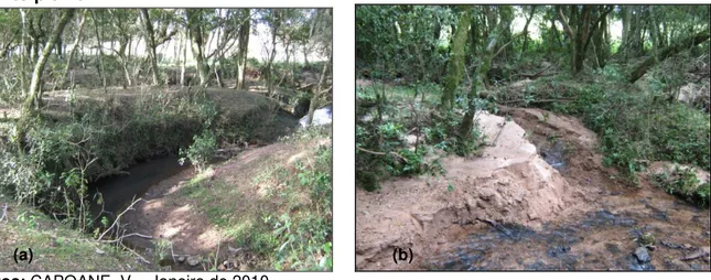 Figura 6: (a)  Áreas de preservação permanente no entorno de cursos d’água sendo  utilizadas  para  pastoreio  do  gado;  (b)  Deposição  de  sedimento  nas  margens  após  evento pluvial