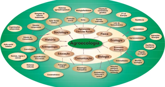Figura 1. Exemplos de contribuições de outras ciências à Agroecologia