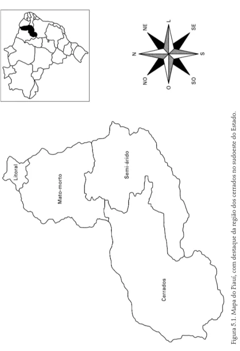 Figura 5.1. Mapa do Piauí, com destaque da região dos cerrados no sudoeste do Estado. Fonte: Seplan/Governo do Piauí (2005).