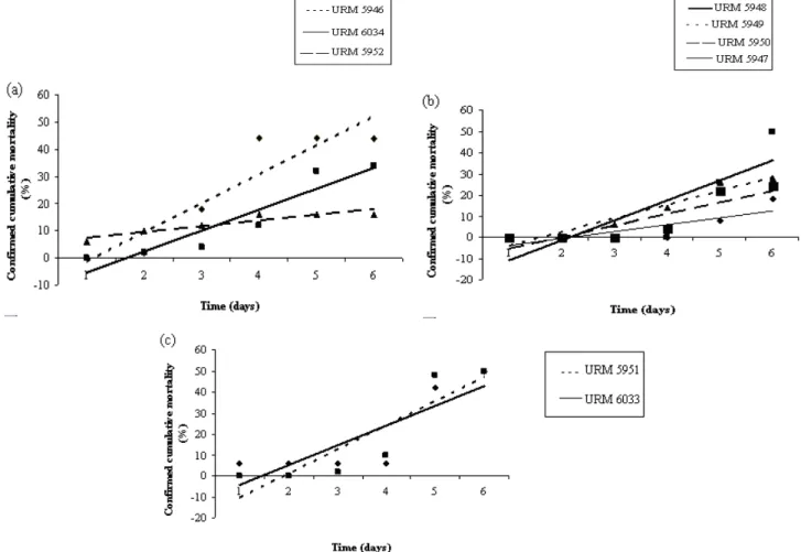 Figure 1 - Confirmed cumulative mortality (%) of Mahanarva fimbriolata nymphs over six days after  application of different isolates of Metarhizium anisopliae var