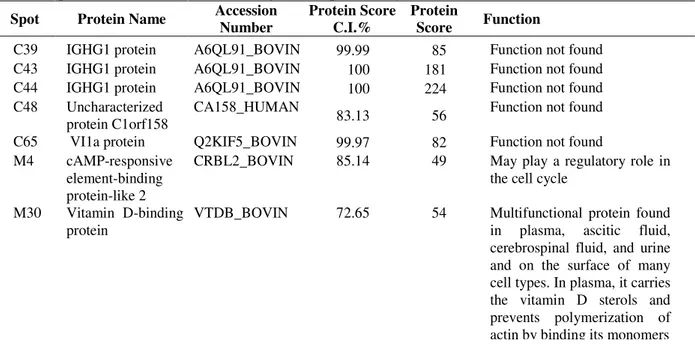 Table  1  -  Low-abundance proteins of  whey  from bovine colostrum and  mature  milk identified by  matrix-assisted  laser desorption/ionization tandem time-of-flight mass spectrometry 