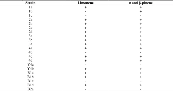 Table  2  –  Selection  of  terpene  resistant  isolate  microorganisms,  where  “+”  is  growth  positive  and  “–“  means  no  growth