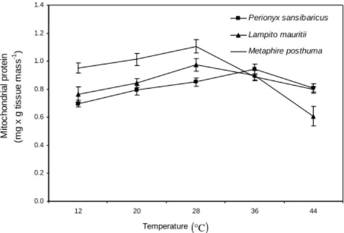 Figure 5 - Effects of temperature on mitochondrial protein content of different species of  earthworms