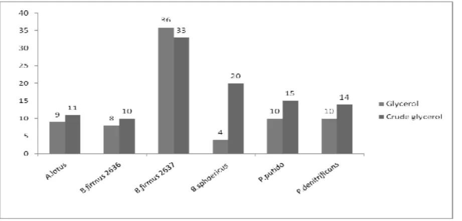 Figure  2  -  Comparison  of  different  carbon  sources  on  PHB  production  in  N  and  P  limited  conditions
