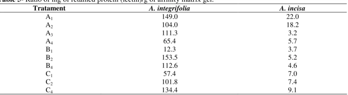 Table 5- Ratio of mg of retained protein (lectin)/g of affinity matrix gel. 