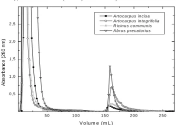 Figure 4  – Affinity chromatography of A. incisa crude extract in  C. pulcherrima galactomannans  matrices with best results for isolate A