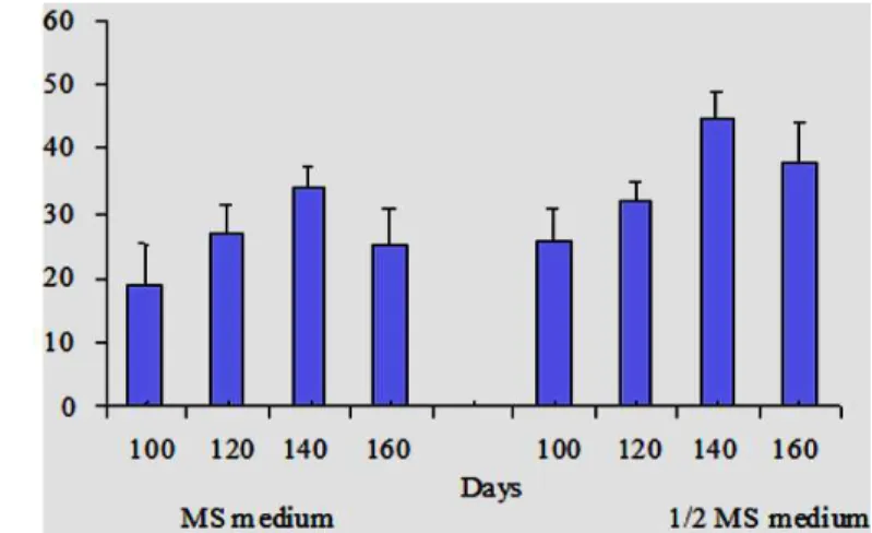 Figure  2  -  Somatic  embryos  germination  from  cotyledonry  stage  embryos  of  Phyla  nodiflora in  different days
