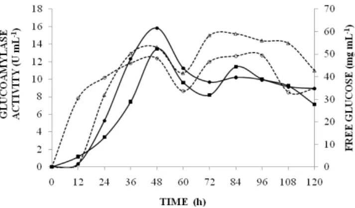 Figure  1  -  Evolution  of  the  glucoamylase  activity  and  the  free  glucose  concentration  during  the  assay