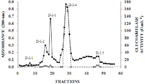 Figure 2c - Sephadex G-100 chromatography profile. (●) absorbance in 280 nm; (○) glucoamylase  activity, determined for relevant fractions