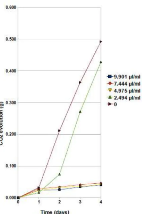 Figure 4 - Inhibition of the Sacch. cerevisiae 1vvt/97 activity provoked by the presence of acetic  acid