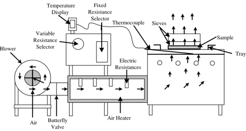 Figure 1 - Convective dryer scheme. 