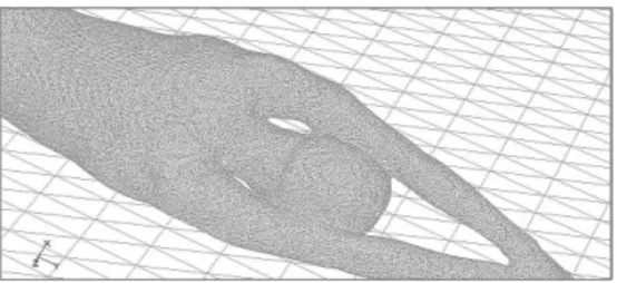 Figure 3 - Cross-section of the fluid area around the swimmer. 