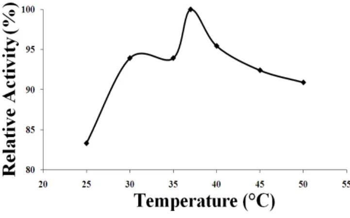 Figure 5 - Temperature effect on lipolytic activity of crude stratum of B. cepacia. 