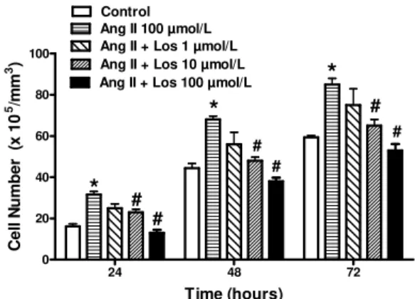 Figure  2  -  The  effect  of  losartan  on  angiotensin  II-induced  A7r5  cell  proliferation