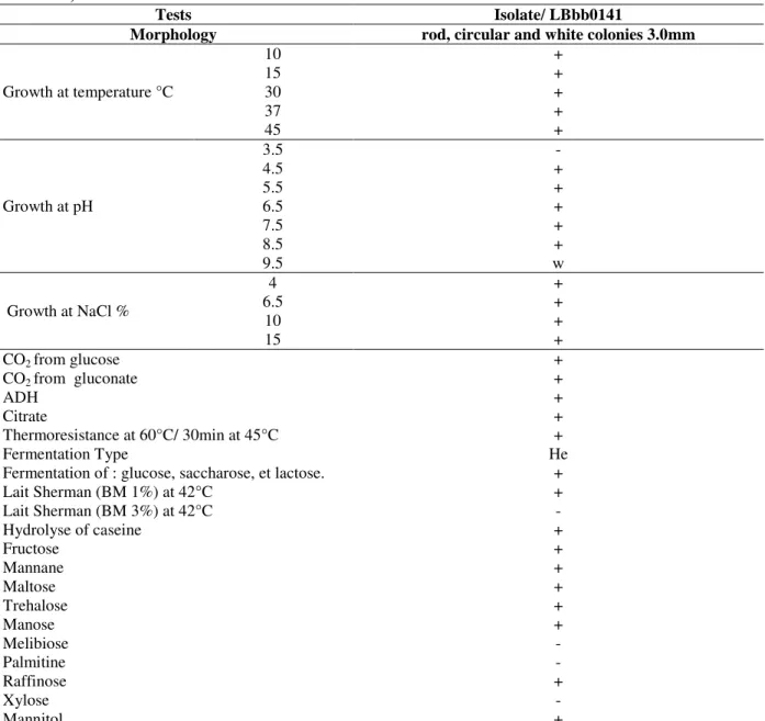 Table  2  -  Morphological,  physiological  and  biochemical  properties  of  bacteriocin  producing  LAB  isolate  (LBbb0141)
