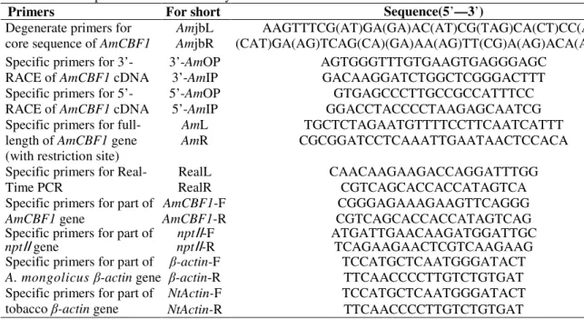 Table 1 - List of primers used in the study. 