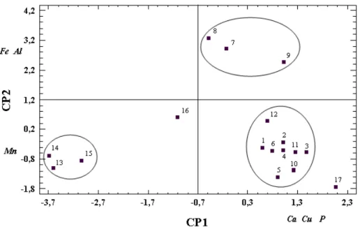Figure 1 - Principal component analysis applied to the obtained concentrations for the seventeen  fodder grass samples from the Curitiba and Castro areas