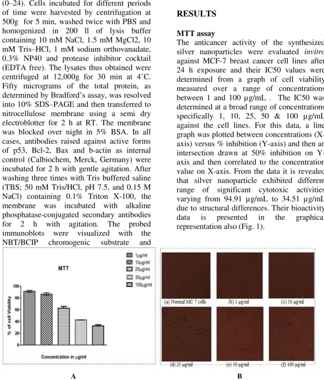 Figure  1  -  A.    Dose  dependent  cytotoxicity  effect  of  SNp  over  cell  viability
