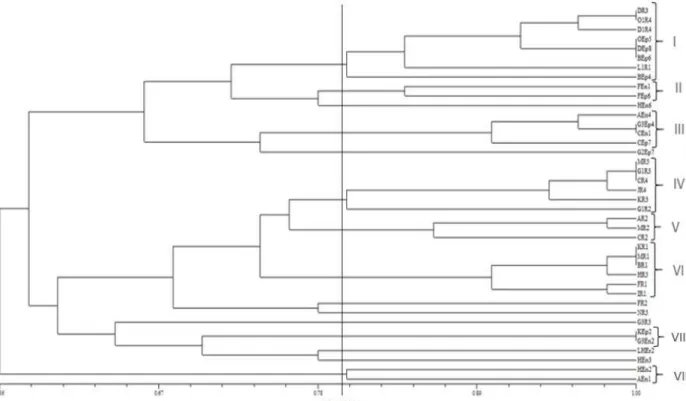 Figure 1. Dendrogram based on UPGMA cluster analysis of PCR-RFLP pattern of 16S r-DNA profiles showing the  relationships among the isolated bacteria