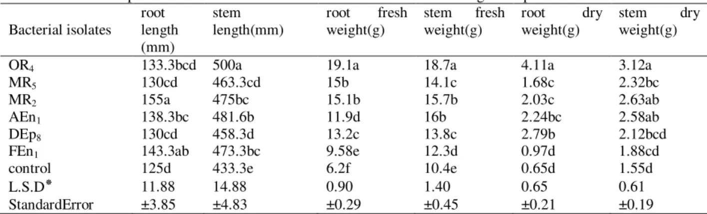 Table 2. Mean comparison for the effect of different bacterial isolates on rice growth promotion   Bacterial isolates  root  length  (mm)  stem  length(mm)  root  fresh weight(g)  stem  fresh weight(g)  root  dry weight(g)  stem  dry weight(g) 