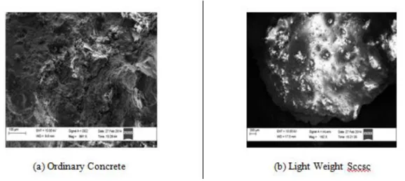Figure 9. SEM Image