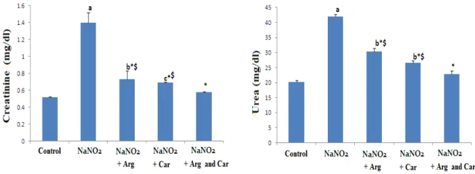 Figure  1-    Effect  of  L-arginine  (Arg)  and/    or  carnosine    (Car)  on  serum    kidney    function  markers  (  creatinine and  urea)  in  control and  NaNO2   induced hypoxia   groups