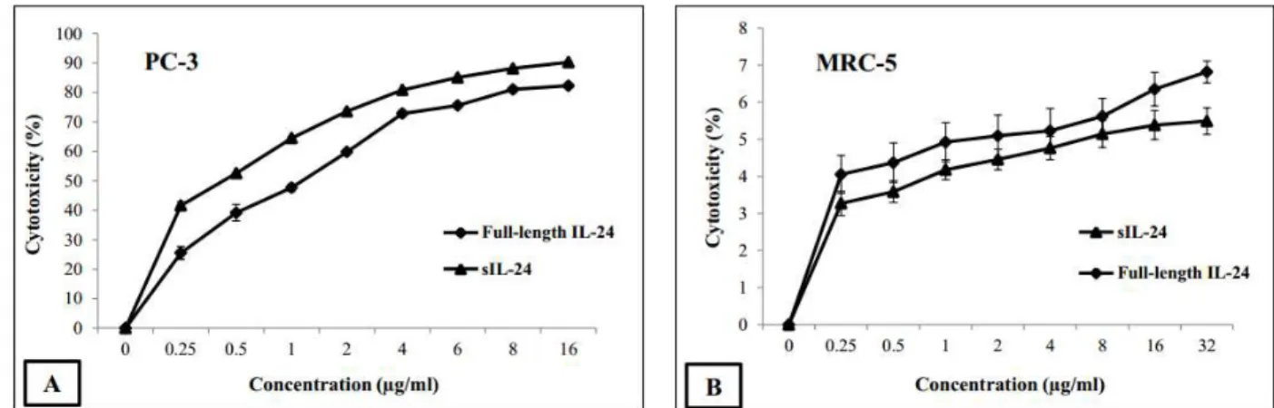 Figure 5 - (A) Cytotoxic effect of sIL-24 on PC-3 cancer cells. PC-3 cells were treated with sIL-24, full-length IL- IL-24 and PBS (control) at different concentrations (0.25, 0.5, 1, 2, 4, 8, 16 and 32 µg/mL) for IL-24 h