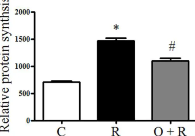 Figure 2 - Effects of ODN on cell protein synthesis enhanced by resistin. Cell protein concentration were measured  and normalized to the cell number