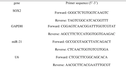 Table 1-  Sequence of the gene-specific primers used for real-time PCR detection in vitro and in vivo
