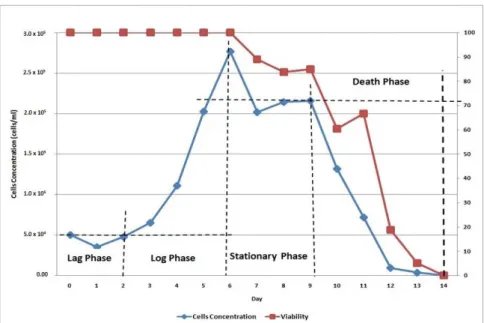 Figure 2: The complete growth profile of DU145 cell line 