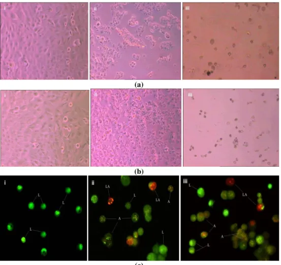 Figure 5: Effect of the extracts on the morphology of the cells (a) shows effect of F