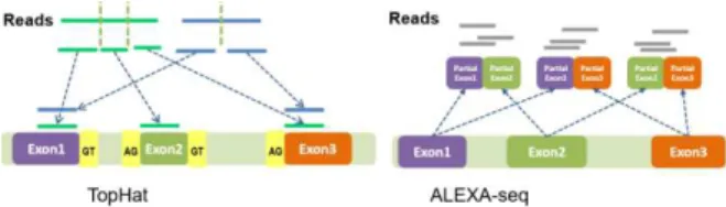 Figure  1.  Schematic  diagram  of  two  kinds  of  AS  analysis  strategy  for  RNA-seq  data