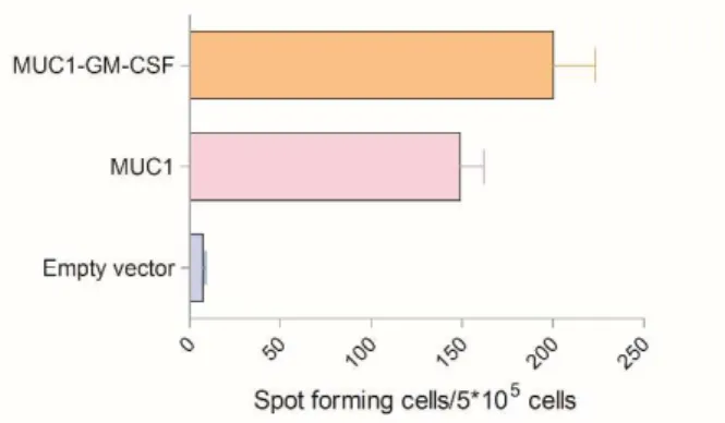 Figure  3.  The  MUC1-GM-CSF  fused  DNA  vaccine  induced  MUC1-specific  T  cell  responses  in  mice