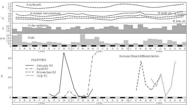 Figure 1. Natural flowering establishment (%) on ‘Smooth Cayenne’ pineapple related to different planting times.