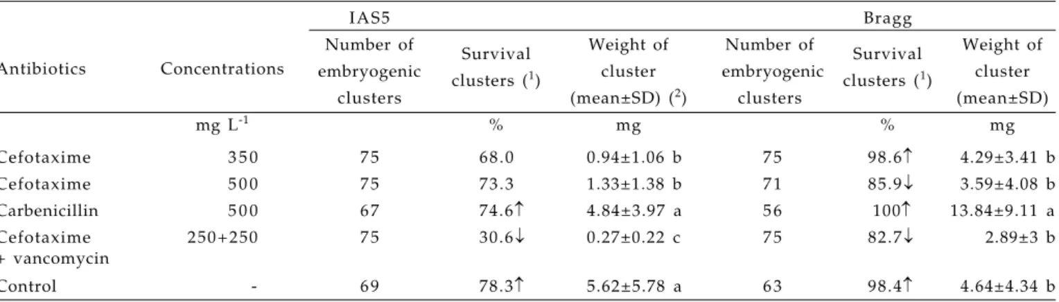 Table 2. Survival and weight of proliferative embryogenic clusters of two soybean cultivars after 98 days of different antibiotic treatments