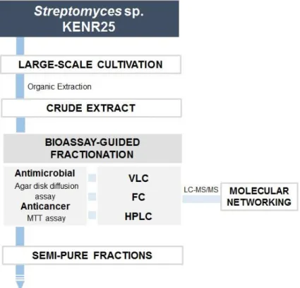 Figure 7. Diagram of the bioassay-guided workflow to study bioactive molecules. 