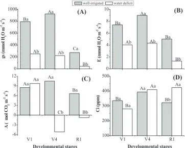 Figure 1. Leaf gas exchange of soybean plants (G. max) under well-irrigated (control) or water deficit conditions, imposed in different developmental stages (V1, V4 and R1)
